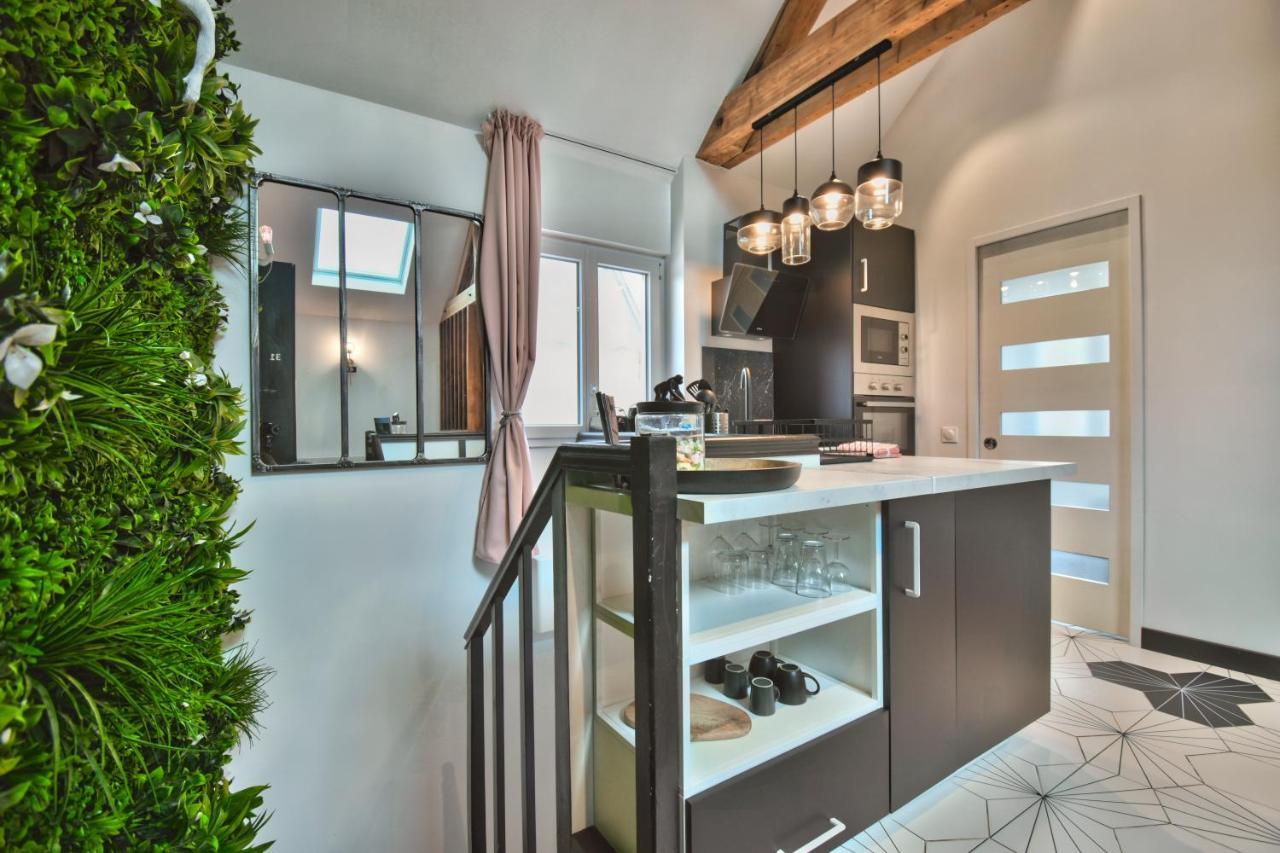 * Le Loft Des Mysteres * Lejlighed Maintenon Eksteriør billede