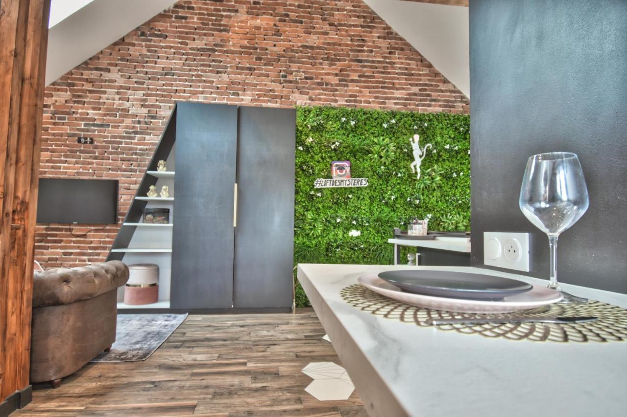 * Le Loft Des Mysteres * Lejlighed Maintenon Eksteriør billede